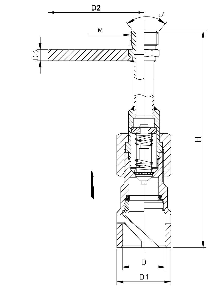 DHJ-10 ステンレス鋼製極低温 LNG ベント接続部